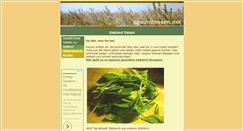 Desktop Screenshot of gesundessen.net