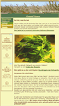 Mobile Screenshot of gesundessen.net